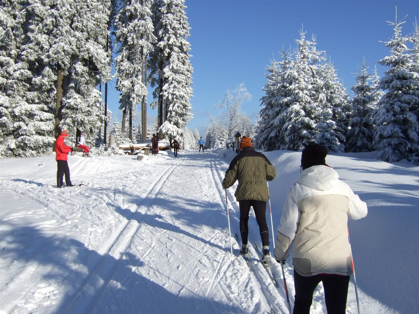 Langläufer auf der Kammloipe bei strahlendem Sonnenschein